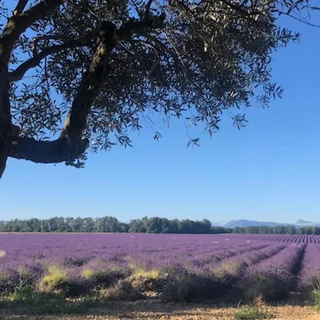 아파트 04b2 Beautiful In A Mas Provencal - Pool *