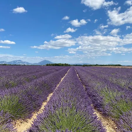 04b2 Beautiful In A Mas Provencal - Pool
