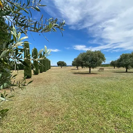 아파트 04b2 Beautiful In A Mas Provencal - Pool Brunet