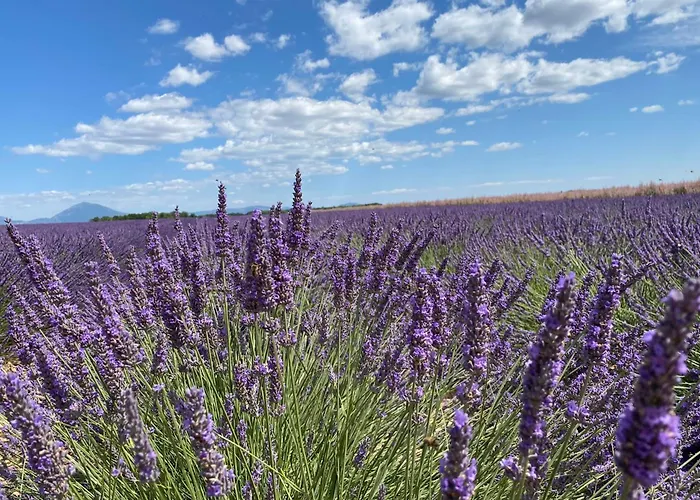 04b2 Beautiful In A Mas Provencal - Pool Brunet