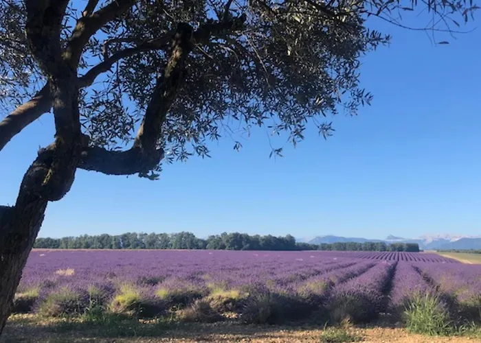 Apartment 04b2 Beautiful In A Mas Provencal - Pool *