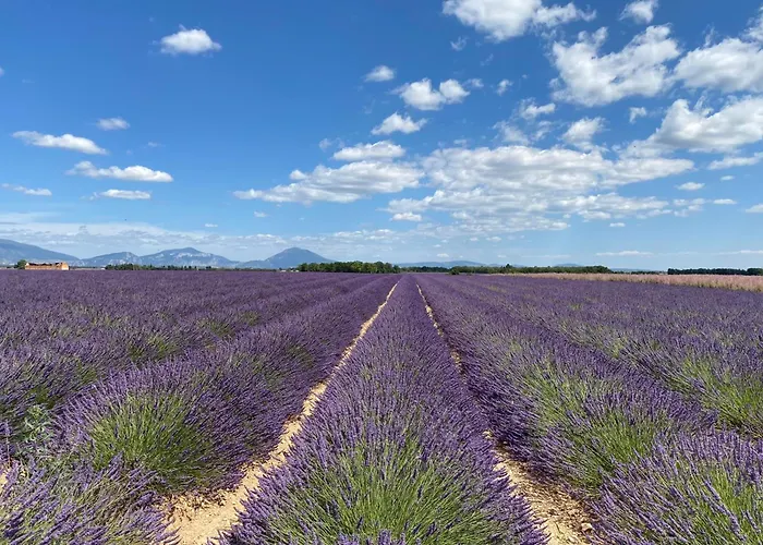 04b2 Beautiful In A Mas Provencal - Pool